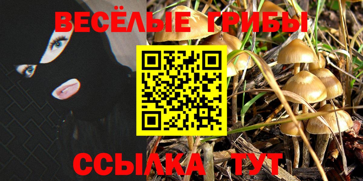 Галлюциногенные грибы Psilocybe  Псилоцибиновые грибы Psilocybe  Вход с VPN  Прохладный 